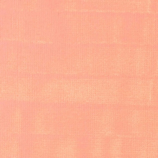 Liquitex Professional Ακρυλικός Μαρκαδόρος 2mm Rose Portrait Light