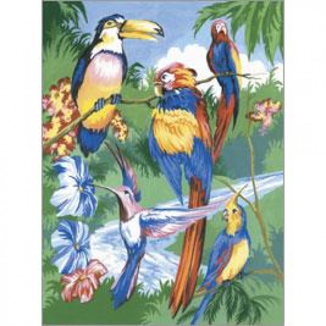 Royal & Langnickel Ζωγραφική με Νούμερα 20X30cm Τροπικά Πουλιά
