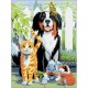 Royal & Langnickel Ζωγραφική με Νούμερα 20X30cm Σκύλος & Γάτα
