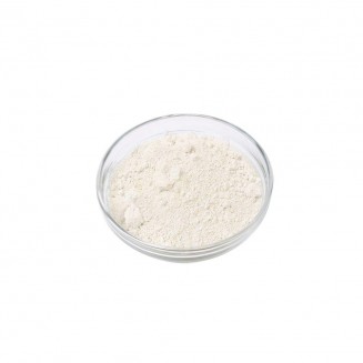 1kgr Blanc de Meudon (French Chalk)
