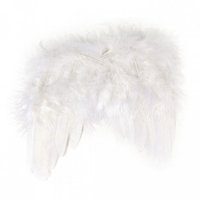 Rayher 2 Φτερά Αγγέλου 15cm