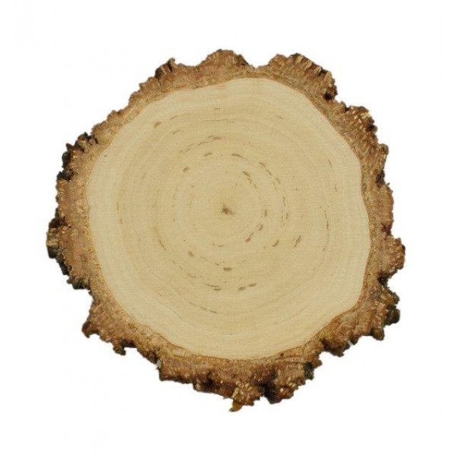 Ξύλινος Κορμός Δένδρου Φέτα Φ12-15cm με Φλοιό