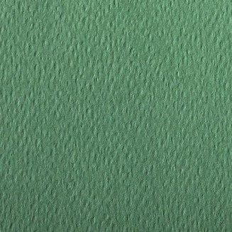 Clairefontaine Χαρτί Σχεδίου Etival A4 (21x29,7cm) 160gr Deep Green