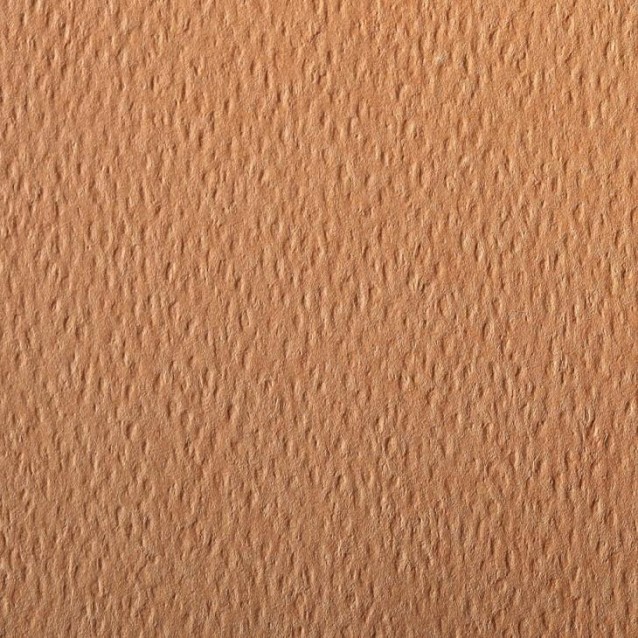 Clairefontaine Χαρτί Σχεδίου Etival A4 (21x29,7cm) 160gr Salmon