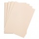 Clairefontaine Χαρτί Σχεδίου Etival A4 (21x29,7cm) 160gr Pale Pink