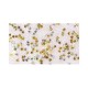 Knorr Prandell 50ml Κόλλα Glitter Άστερια Χρυσά