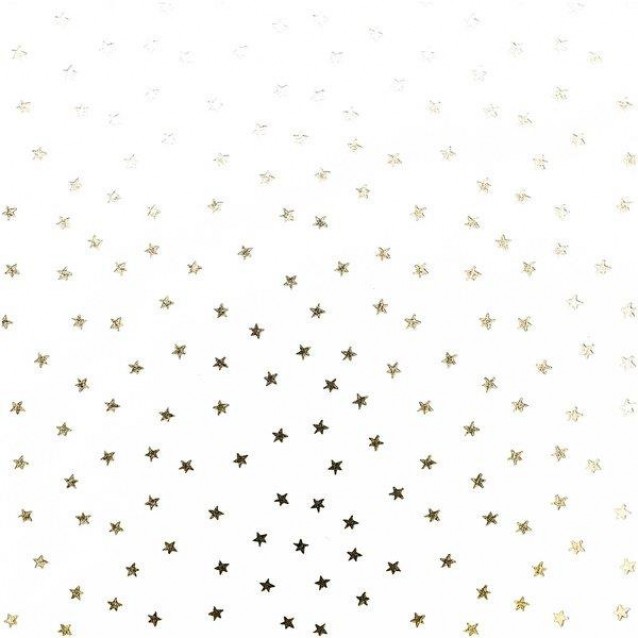 Rico Design 12 Διάφανα Φύλλα A4 (21x29,7cm) με Χρυσά Αστεράκια