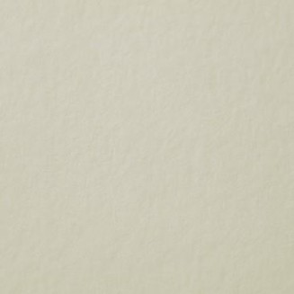 Stillman & Birn Σπιράλ Μπλοκ Mixed Media Delta 25 Ιβουάρ Φύλλα Cold Pressed 22,9x30,5cm 270gr