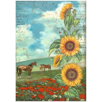 Stamperia Ριζόχαρτο Decoupage A4 (21X29,7cm) Sunflower Art And Horses