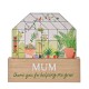The Cottage Garden Πλακέτα Μίνι Θερμοκήπιο Mum