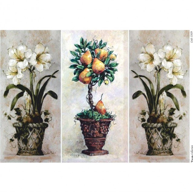 Tuja Collection Ριζόχαρτο Decoupage A3 (29,7x42cm) 12029