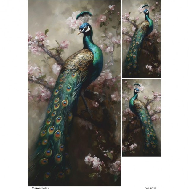 Tuja Collection Ριζόχαρτο Decoupage A3 (29,7x42cm) 12182