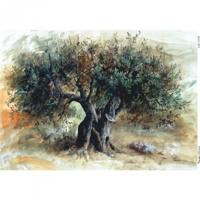 Tuja Collection Ριζόχαρτο Decoupage A3 (29,7x42cm) 12108