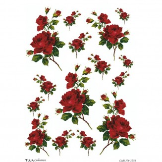 Tuja Collection Ριζόχαρτο Decoupage A4 (21x29,7cm) 1056