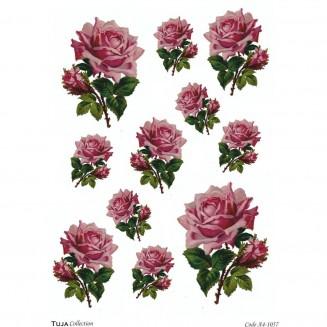 Tuja Collection Ριζόχαρτο Decoupage A4 (21x29,7cm) 1057