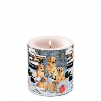 Ambiente Κερί Μικρό Φ7,5x9cm Golden Retriever Puppies