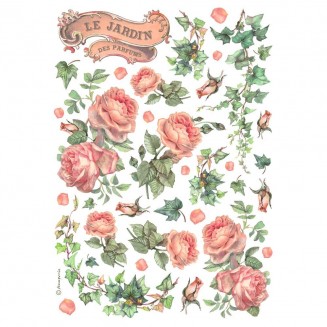 Stamperia Ριζόχαρτο Decoupage A4 (21X29,7cm) Les Jardins des Parfums