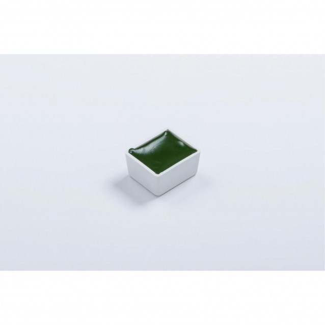 Blockx Extra Fine Half Pan Ακουαρέλας 164 Hookers Green Series 1