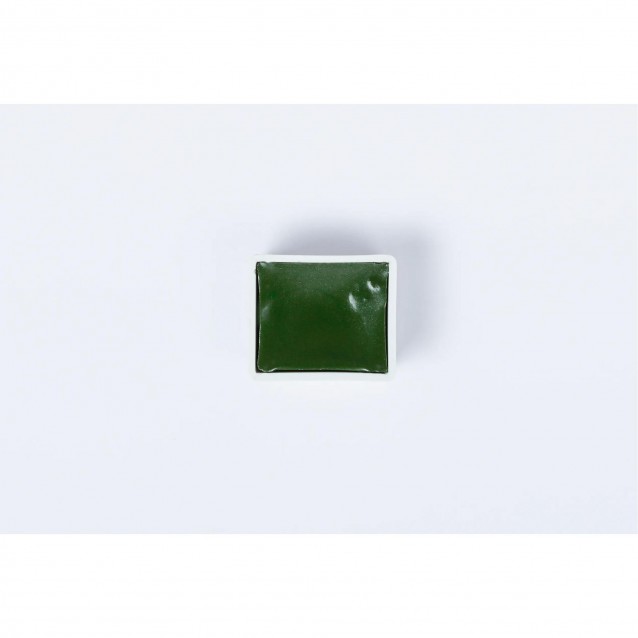 Blockx Extra Fine Half Pan Ακουαρέλας 164 Hookers Green Series 1