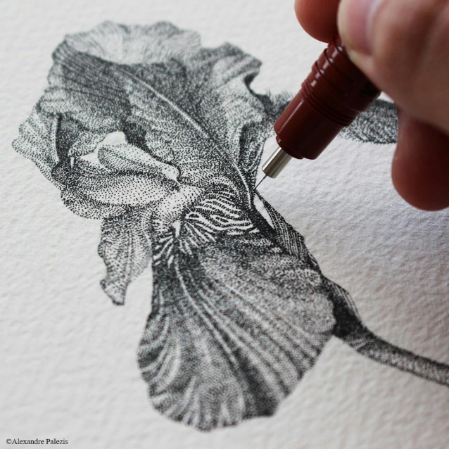 Rotring Ισογράφος 0.25