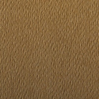 Clairefontaine Χαρτί Σχεδίου Etival 75x110cm 160gr Tobacco