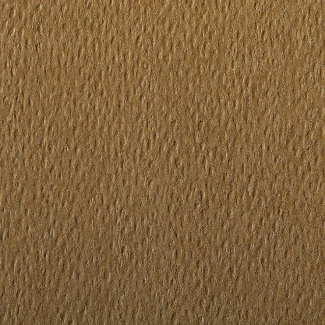 Clairefontaine Χαρτί Σχεδίου Etival 75x110cm 160gr Tobacco
