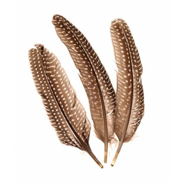 Glorex 5 Φτερά Φασιανού 16-18cm