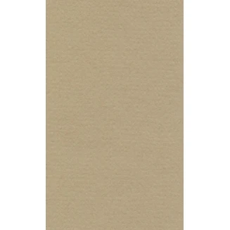 Lana Χαρτί Σχεδίου 160gr 70x100cm Oyster