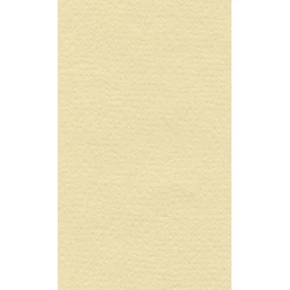 Lana Χαρτί Σχεδίου 160gr 70x100cm Cream