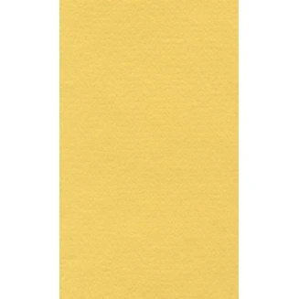 Lana Χαρτί Σχεδίου 160gr 70x100cm Canary