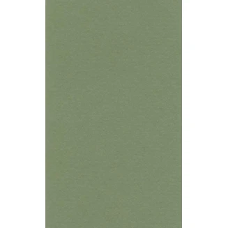 Lana Χαρτί Σχεδίου 160gr 70x100cm Sap Green