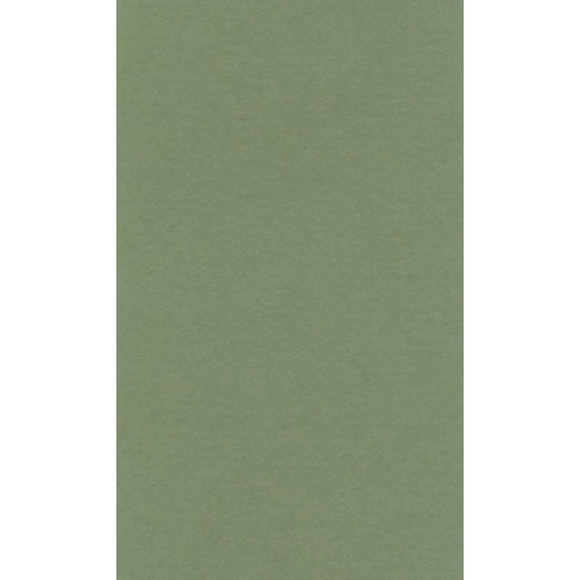 Lana Χαρτί Σχεδίου 160gr 70x100cm Sap Green