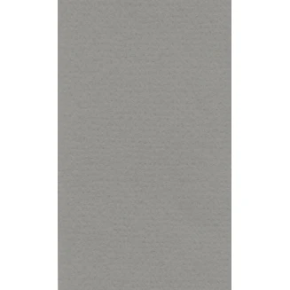 Lana Χαρτί Σχεδίου 160gr 70x100cm Cool Grey
