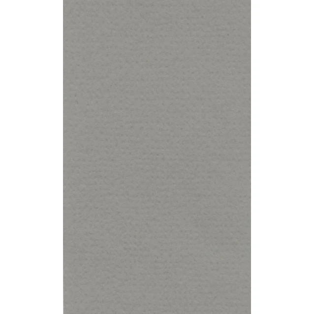 Lana Χαρτί Σχεδίου 160gr 70x100cm Cool Grey