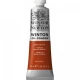 Winsor & Newton 37ml Winton Oil Burnt Sienna