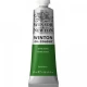 Winsor & Newton 37ml Winton Oil Terre Verte