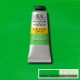 Winsor & Newton 60ml Galeria Acrylic Permanent Green Light