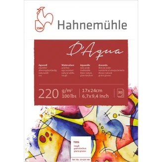 Hahnemuhle Μπλοκ Ακουαρέλας D Aqua 30 φύλλων 17x24cm 220gr Rough