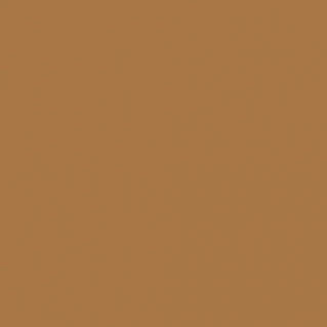 Winsor & Newton Μαρκαδόρος Promarker Brush O535 Cocoa