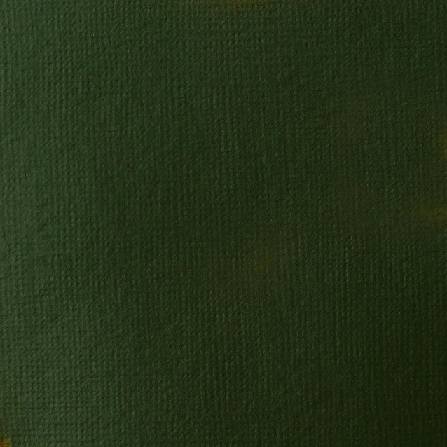 Liquitex Basics 118ml Acrylic 224 Hookers Green Hue Series 1