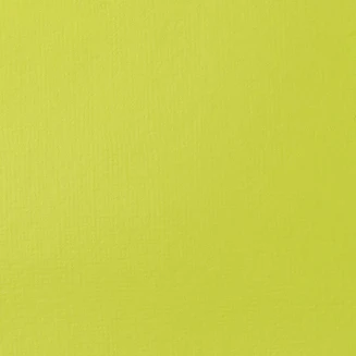 Liquitex Basics 118ml Acrylic 840 Brilliant Yellow Green Series 1
