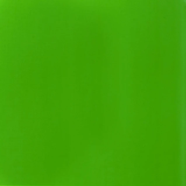 Liquitex Basics 118ml Acrylic 985 Fluorescent Green Series 2
