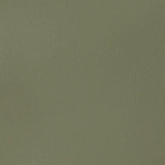 Liquitex Basics 118ml Acrylic 205 Green Gray Series 1