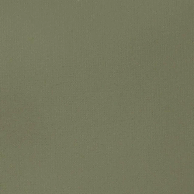 Liquitex Basics 118ml Acrylic 205 Green Gray Series 1