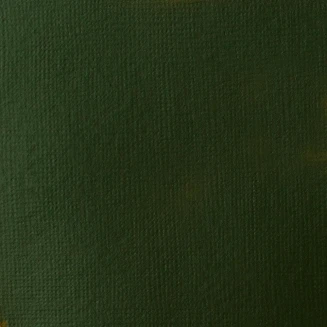 Liquitex Basics 400ml Acrylic 224 Hooker’s Green Hue Permanent Series 1