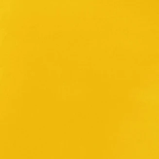 Liquitex Basics 946ml Acrylic 410 Primary Yellow Series 1
