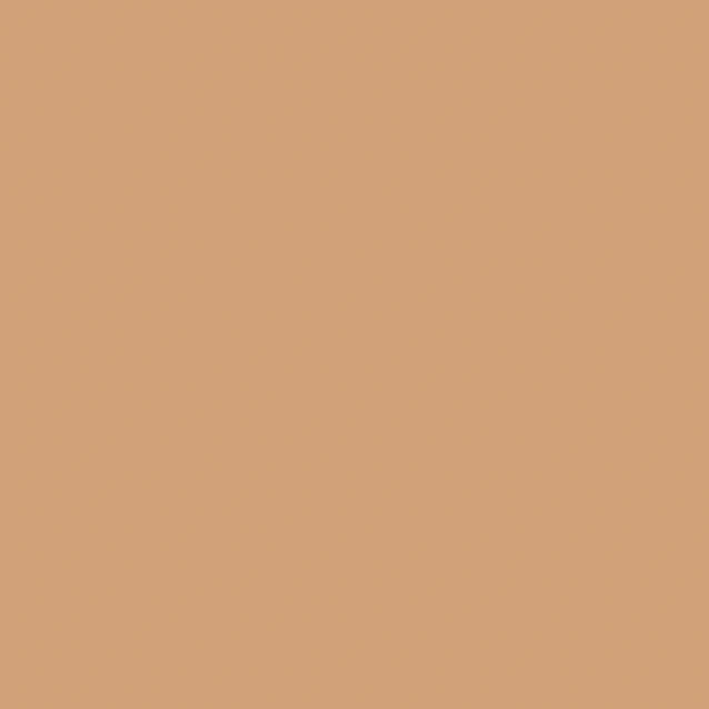 Winsor & Newton Μαρκαδόρος Promarker O427 Cinnamon