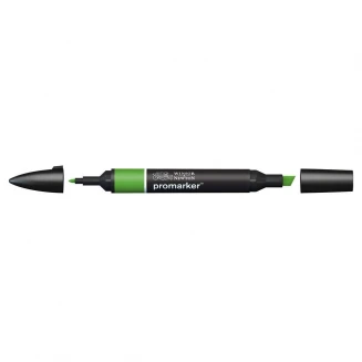 Winsor & Newton Μαρκαδόρος Promarker G356 Forest Green