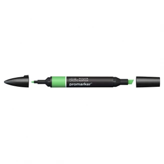 Winsor & Newton Μαρκαδόρος Promarker G457 Grass