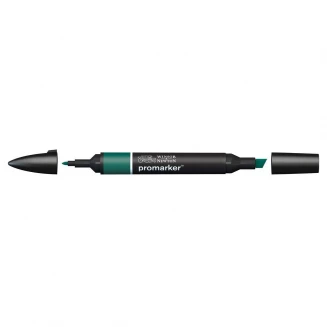 Winsor & Newton Μαρκαδόρος Promarker G724 Holly